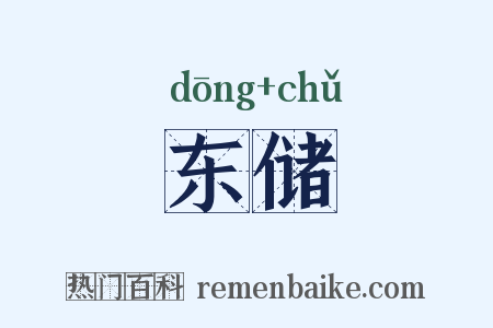 东储是什么意思的图片